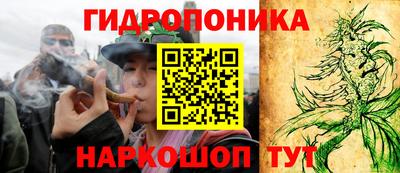 стаф Шелехов