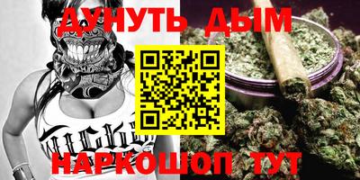 стаф Шелехов
