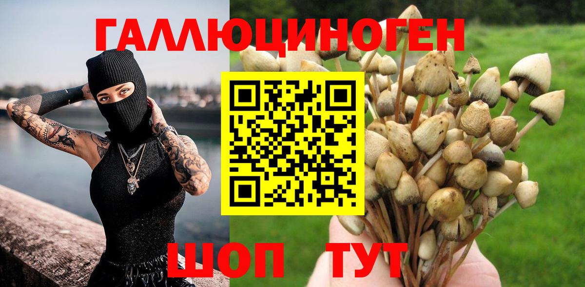 Галлюциногенные грибы Magic Shrooms  наркотики  Кудымкар  Вход с VPN  Псилоцибиновые грибы прущие грибы 